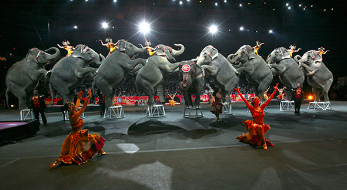 Ringling Brothers Circus To Close Forever: A Dark Era Of Animal Abuse Comes To An End