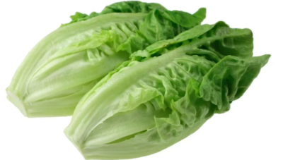 Public Health Warning: Avoid ALL Romaine, Likely Coated With Feces