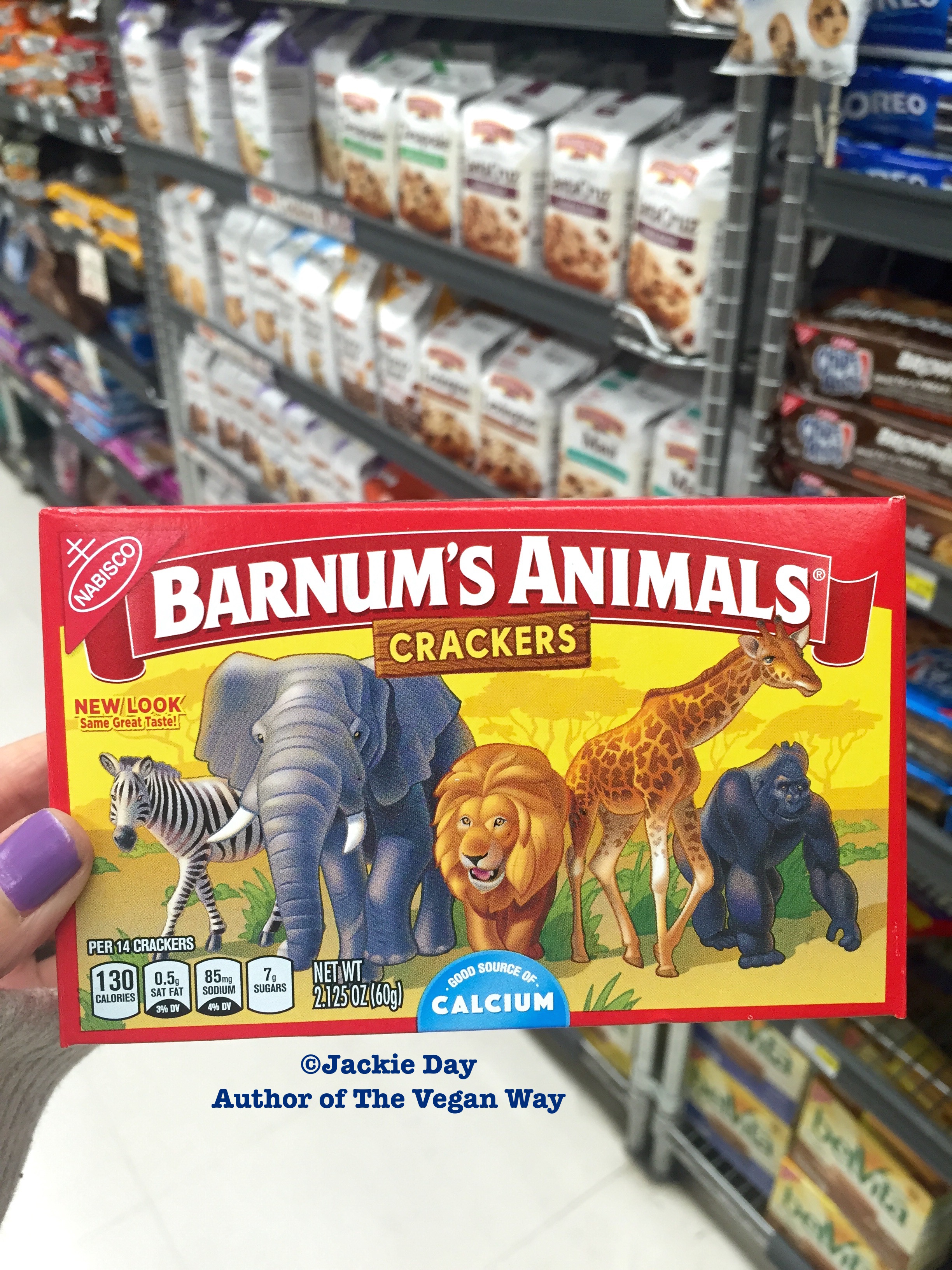 After Over 100 Years in Captivity, Animal Crackers Set Free From Cages